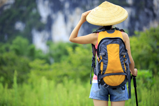 夏日乡间的竹林