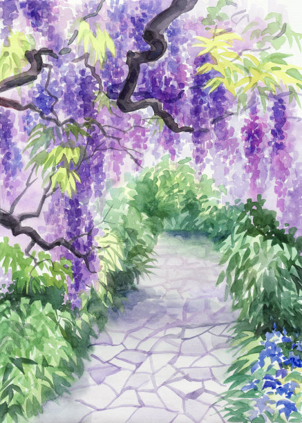 光影紫藤花