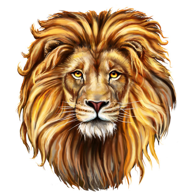 lion