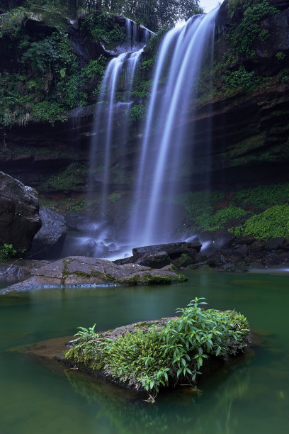 竹林溪流