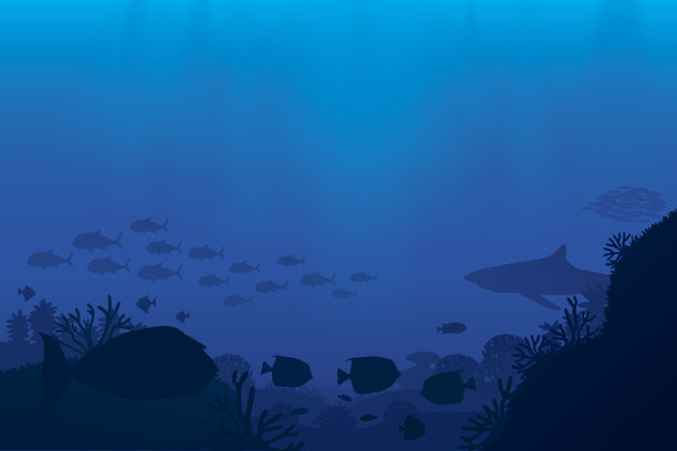深的深海生物