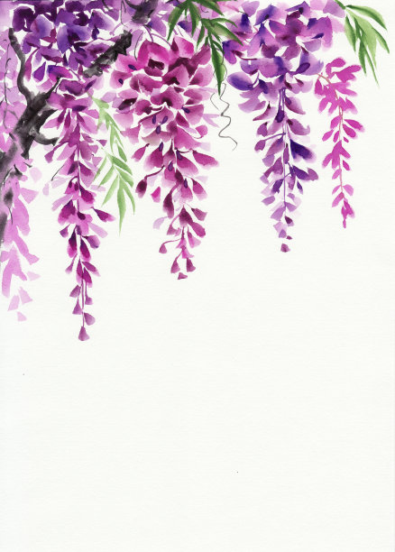 紫藤园艺景观
