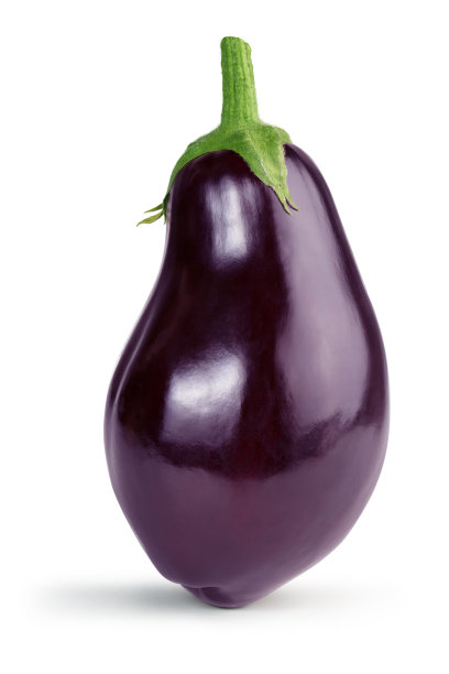 紫果