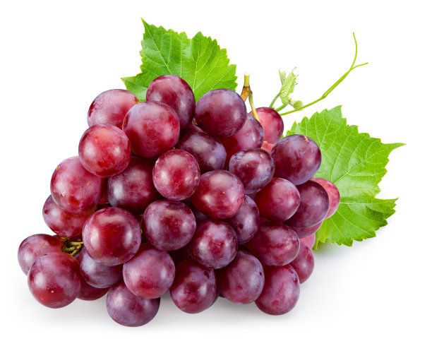 红色小葡萄