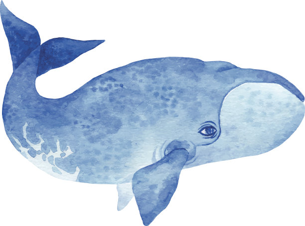 鲸鱼水彩插画