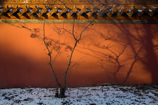 故宫雪景