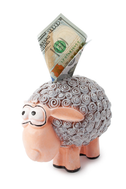 垂直画幅,小猪扑满,美国货币