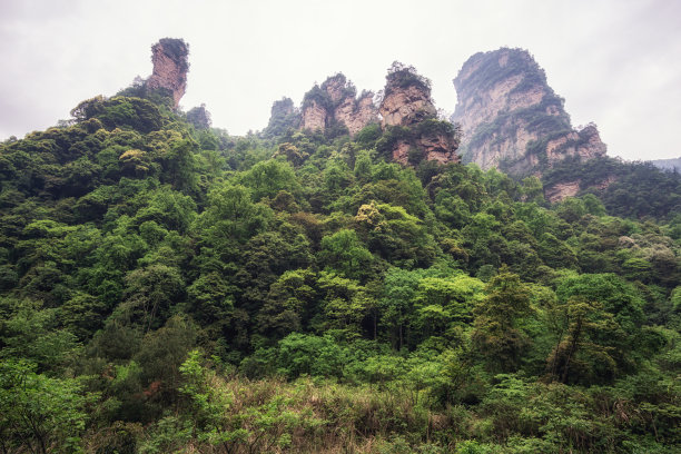 湖南省张家界风景山峰旅游景点