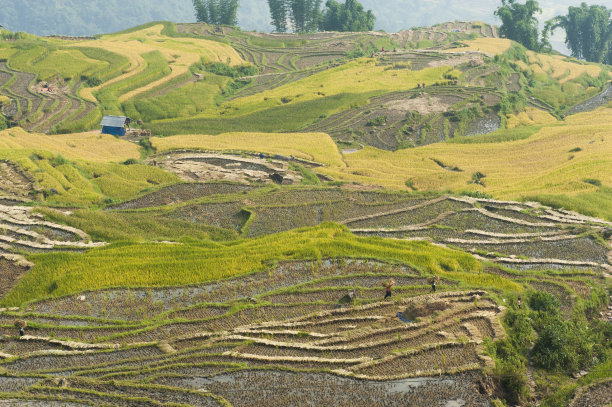 贫困山区