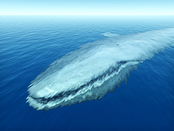 大蓝鲸