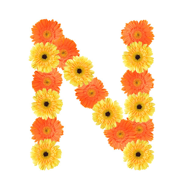 花瓣字母n