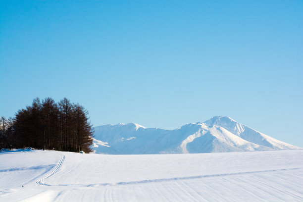 雪地