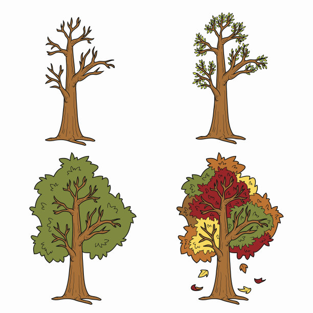 四个季节树木的变化矢量