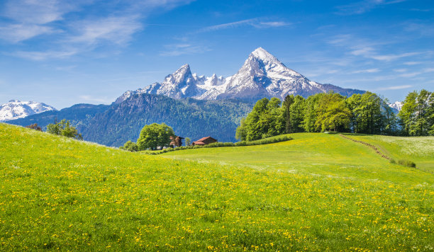 高山草场