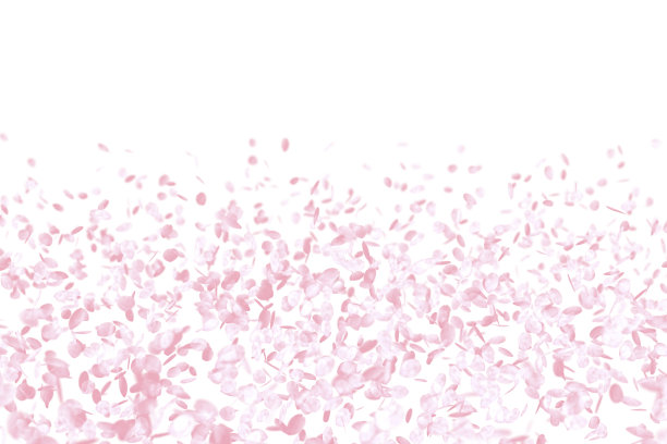 粉色浪漫樱花摄影图