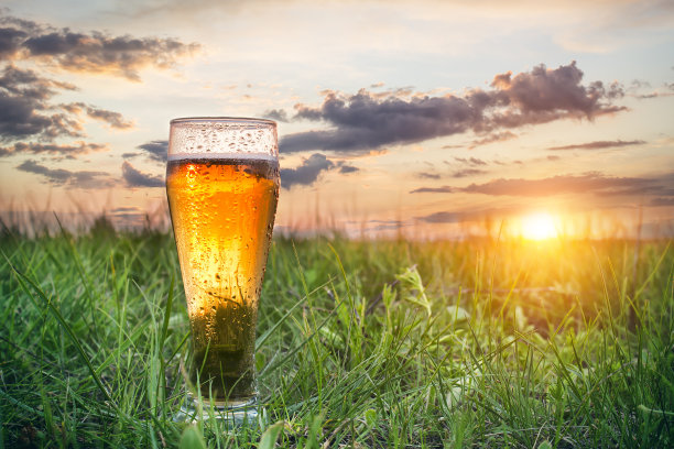 夏日清凉小麦啤酒