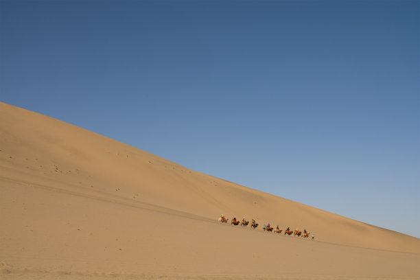 沙漠骆驼一带一路