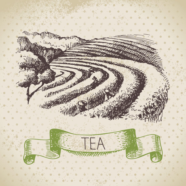 茶道茶具海报