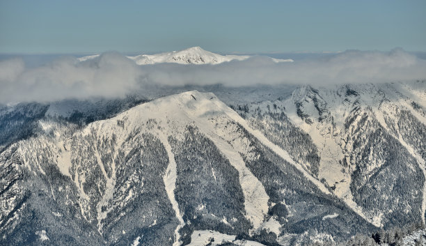 高山滑雪