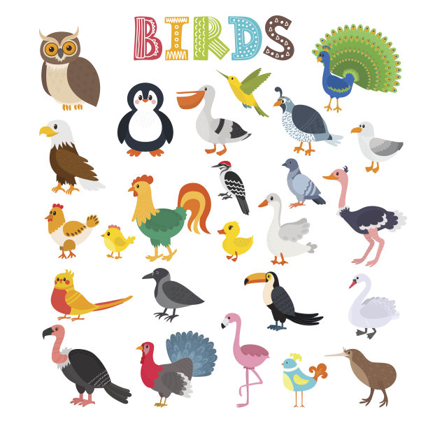 矢量动物鸟类卡通啄木鸟