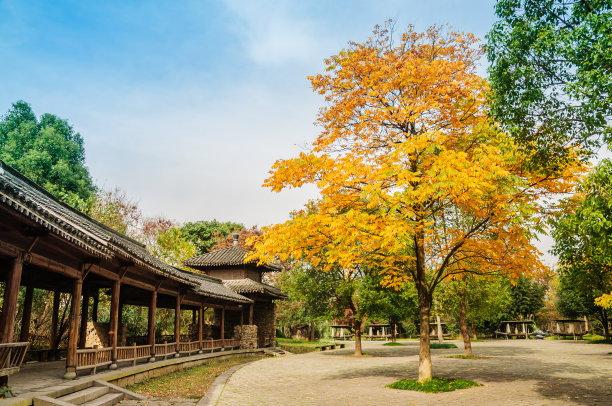 杭州湿地生态公园