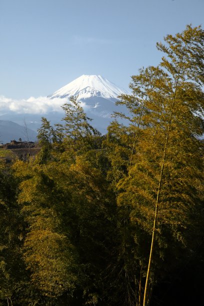 可爱富士山