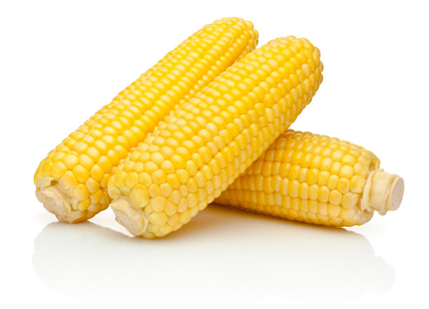 玉米糁图案