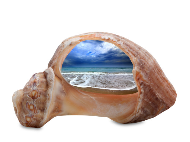大海 蓝天 白云 海螺 贝壳