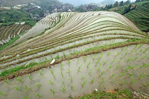 龙胜壮族