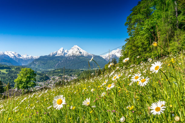 高山草场