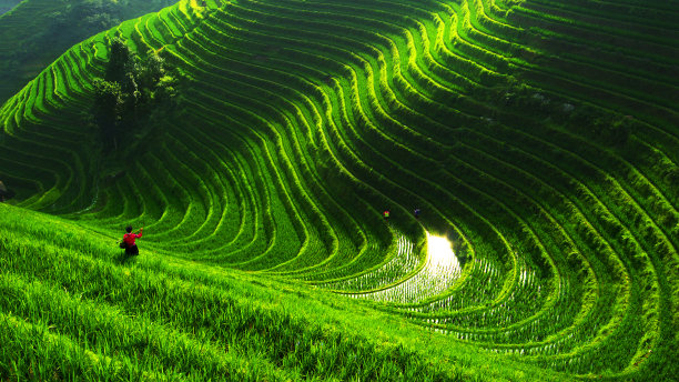 桂林山水风景