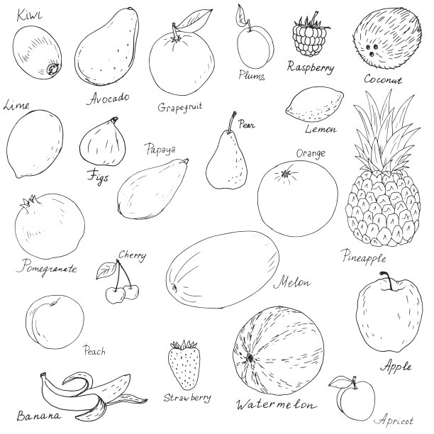 水果素描图
