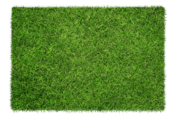绿草背景图案