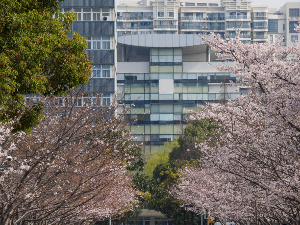 上海同济大学