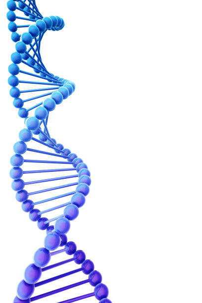 dna基因双螺旋结构