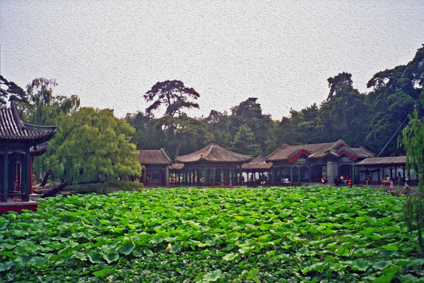 中国风荷花装饰画