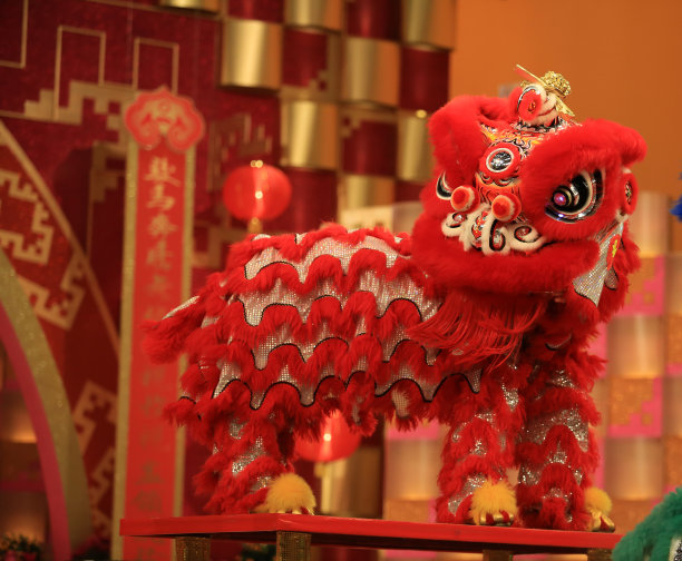 中国年龙狮舞狮
