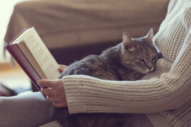 女孩和猫