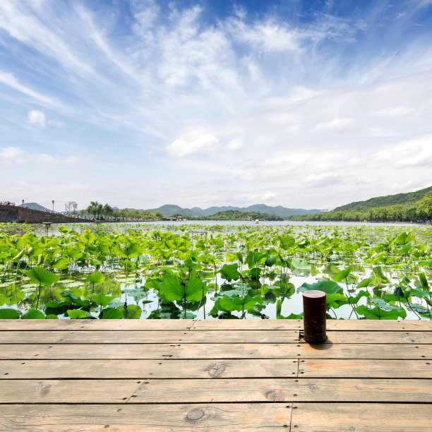 杭州湿地生态公园