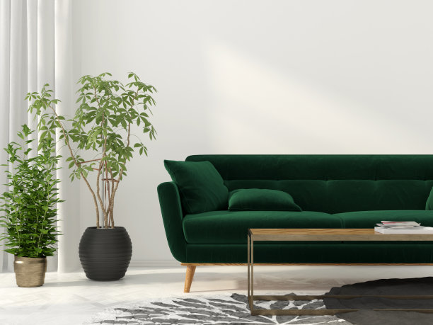 浅绿色沙发