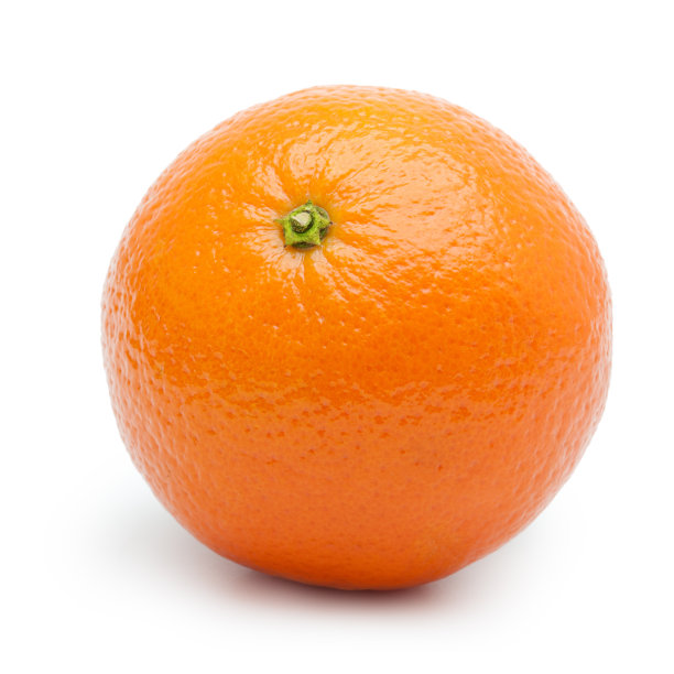 白底柑橘