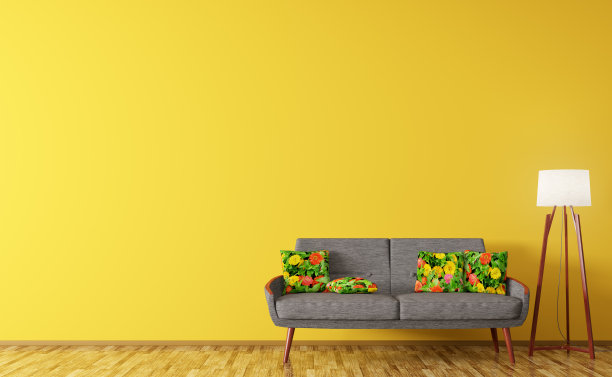 彩色的沙发