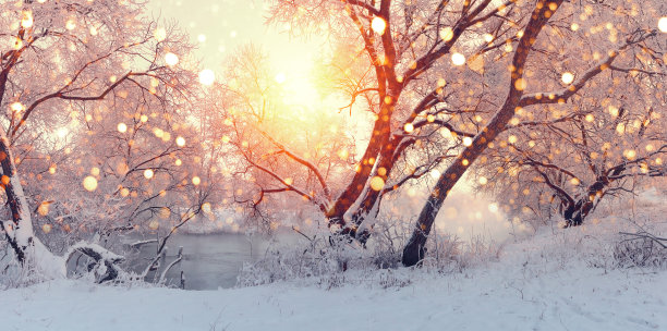 冬天雪景