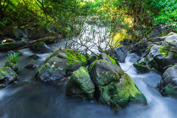 河道清洁