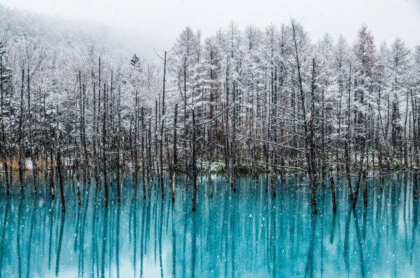 池塘雪景