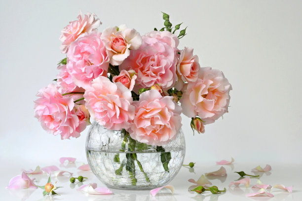 粉色玫瑰插花图片