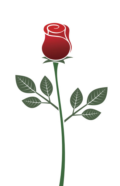 抽象画红玫瑰