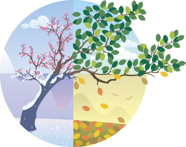 原创设计稿 装饰画/电视背景墙 雕刻图案 四季花开雕刻图案