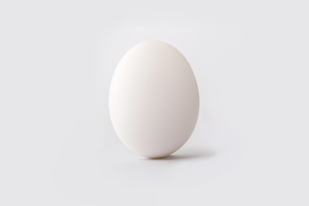 卵子