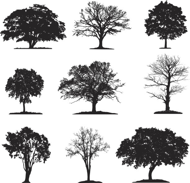 树 矢量图